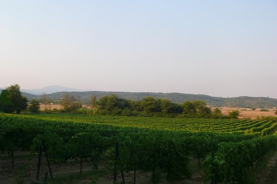 Tour image 11