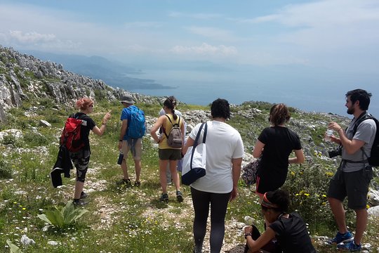 Tour image 6